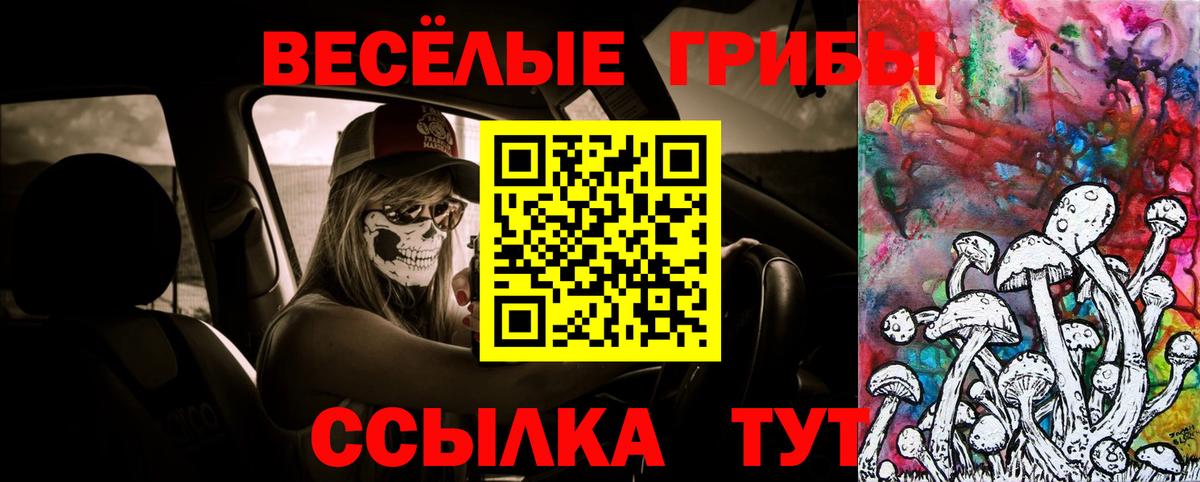 Орёл  Псилоцибиновые грибы прущие грибы  Вход с VPN 